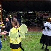 Pszczółki pląsały w Konarach