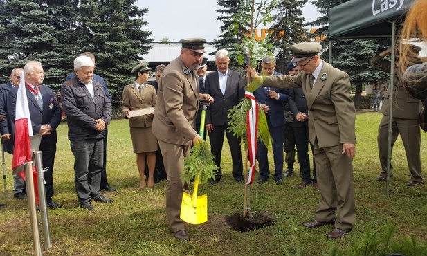 Dąbrowa Górnicza pamięta 