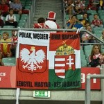 Polska - Irlandia we Wrocławiu