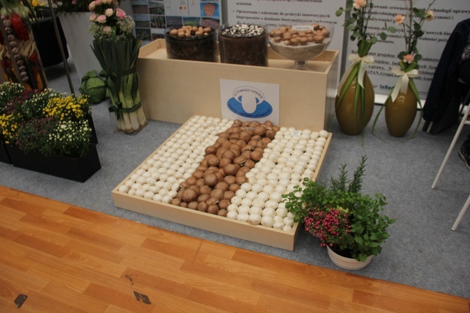 Skierniewickie Święto Kwiatów, Owoców i Warzyw - kiermasze i wystawy