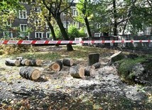 Usuwanie skutków nawałnicy w województwie śląskim