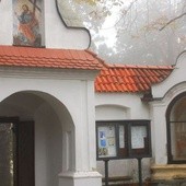 Odkrycia na dziedzińcu kościoła w Sandomierzu 