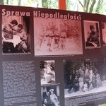 Rekonstrukcja historyczna bitwy o Kraków 1914
