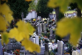 Kiedy na cmentarz - Jelenia Góra
