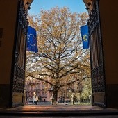 Uczcili pamięć poległych profesorów krakowskich uczelni