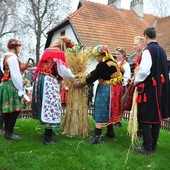 Osadzanie chochoła w Rydlówce 2018