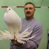 Wystawa gołębi rasowych 
