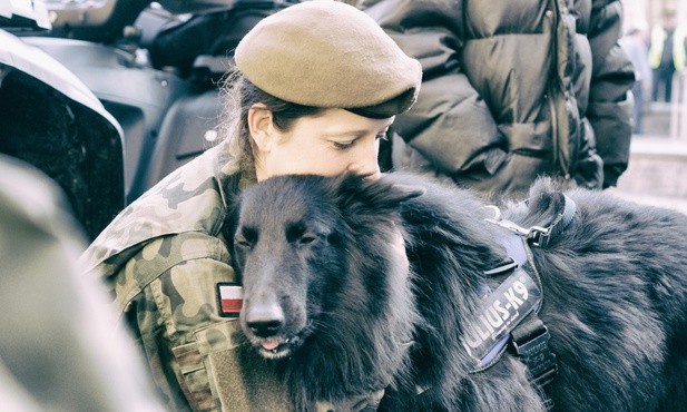 Psy zaczną "służbę" u terytorialsów