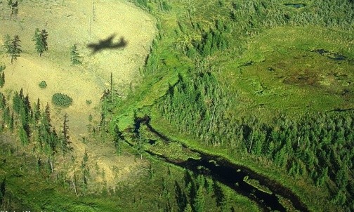 Jakucja - widok z samolotu