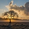 Klasztorny kucharz, który nosił w sobie bezcenną tajemnicę