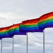 Ks. Dziewiecki: Aktywiści LGBT+ odmawiają nam nawet prawa do przytaczania faktów
