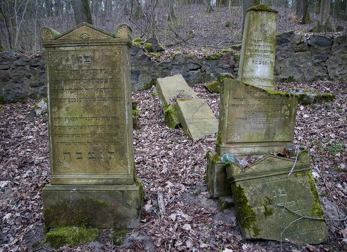 Sprzątanie żydowskiego cmentarza w Świdwinie