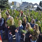 ŚDM w diecezji płockiej. Młodzi, niech wam nie brakuje życia!