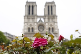 Do Paryża z całego świata płyną wyrazy współczucia po pożarze Notre Dame