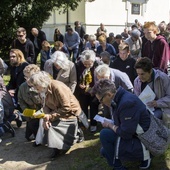 Dzikowska Via Dolorosa