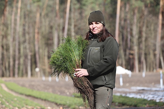 ▲	Magdalena Batugowska jest odpowiedzialna za leśnictwo ds. szkółkarstwa w Ostrowcu Świętokrzyskim