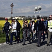 Po drodze pielgrzymi modlili się różańcem, Drogą Krzyżową czy Godzinkami do Matki Bożej.