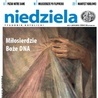 Niedziela 17/2019