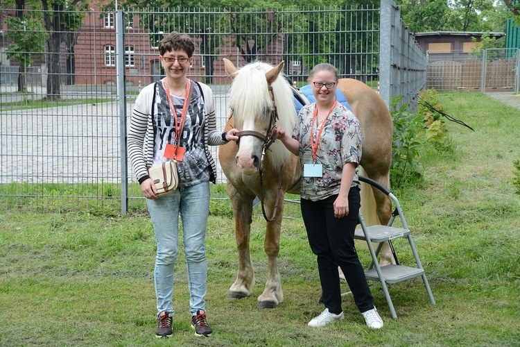 Opole. Piknik wSPAniałych mam