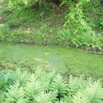 Maj w wojsławickim arboretum