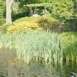 Maj w wojsławickim arboretum