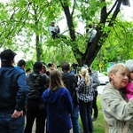 Protest przeciwko wycinaniu drzew w Lublinie i polityce urbanistycznej ratusza