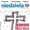 Niedziela 19/2019