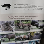 Jubileusz 90-lecia Krakowskiego Ogrodu Zoologicznego