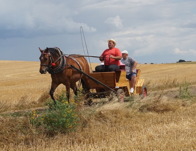 10. Pielgrzymka konna do Goja