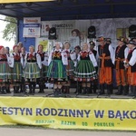 XVII Festyn Rodzinny w Bąkowie Górnym - piknik