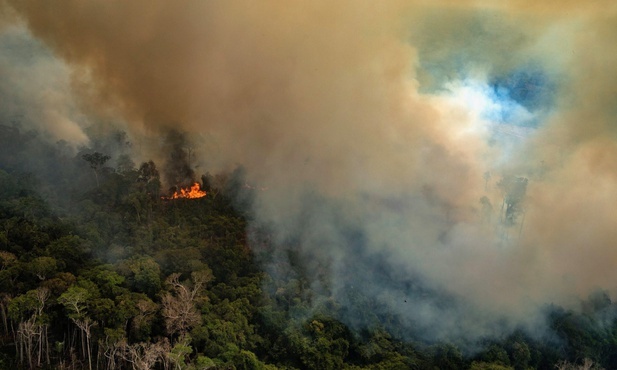Przywódcy G7 zapowiadają pomoc dla Brazylii w walce z pożarami