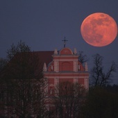 Skrzatusz w niezwykłej fotografii