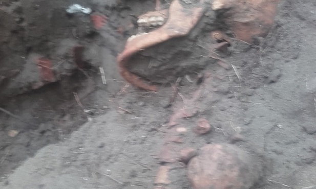Odnaleziono drugie szczątki obrońcy Westerplatte.