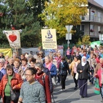 XV Pielgrzymka Kół Żywego Różańca do Domaniewic