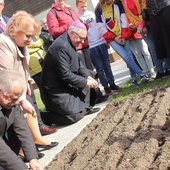 Symbol banalny, ale ważny. Pola Nadziei w hospicjum w Darłowie