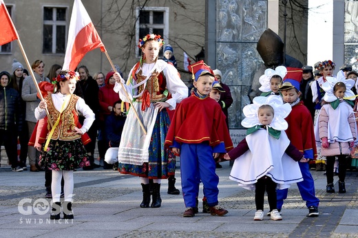 Święto Niepodległości w Świdnicy