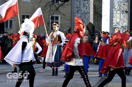 Święto Niepodległości w Świdnicy