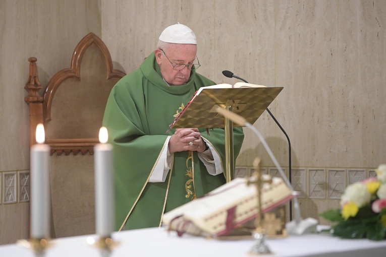 Papież: Myślimy o wprowadzeniu grzechu ekologicznego do Katechizmu