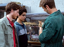 Czy karmienie królików  na farmie jest sposobem  na deradykalizację młodego Ahmeda (Idir Ben Addi)?