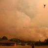 Jedne z najgroźniejszych w tym stuleciu pożary lasów w Australii