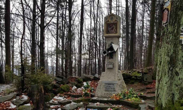 Zdewastowana kapliczka Matki Bożej na Przełęczy u Panienki.