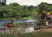 W Amazonii