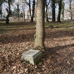 Cmentarz Tryński w Gliwicach