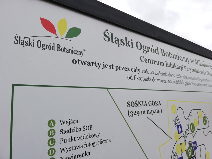 Mikołów. Burmistrz, Śląski Ogród Botaniczny i mieszkańcy nie chcą proponowanych połączeń z Centralnym Portem Komunikacyjnym