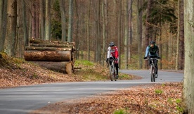 Do lasu wybierz się pieszo, rowerem lub własnym samochodem. Unikaj komunikacji miejskiej.