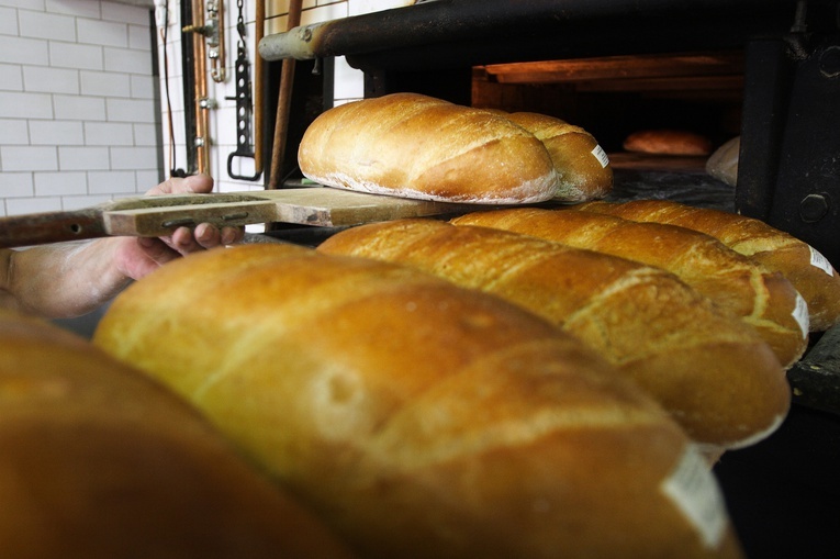 Na początek chleb. Wolontariat Kryzysowy w praktyce 