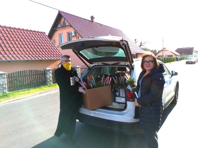 Palmy wielkanocne na pomoc dla szpitala