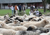 Święto Bacowskie. Wszystko jest w rękach Boga