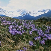 Puste Tatry