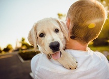 Naukowcy sprawdzą, czy psy mogą węchem wykrywać koronawirusa